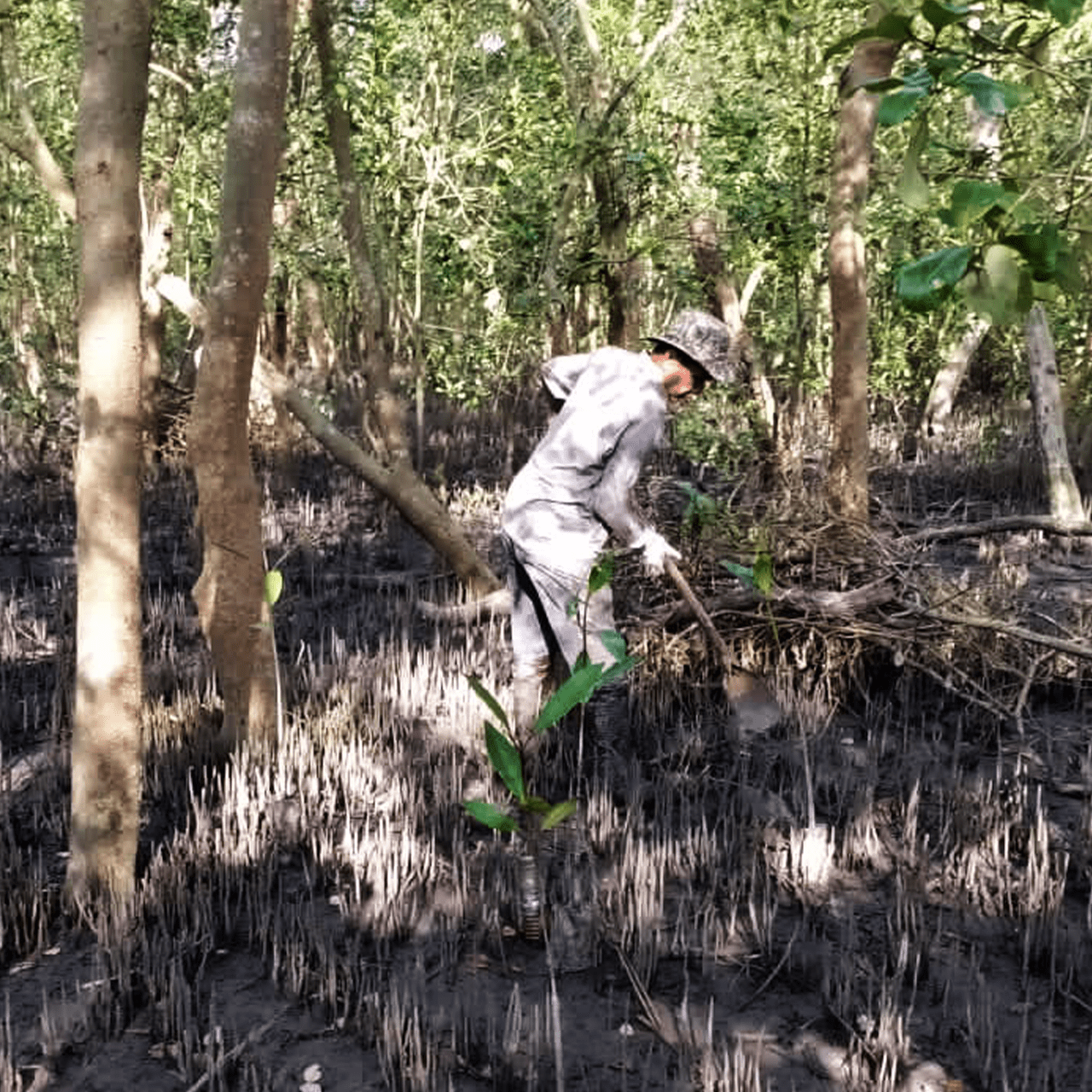 Sustainable Procurement: Positive Business Impact with Batik Boutique