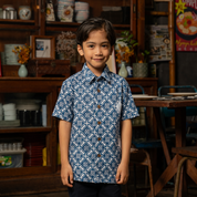 Young boy wearing a blue patterned shirt standing in a room with wooden furniture and decor.