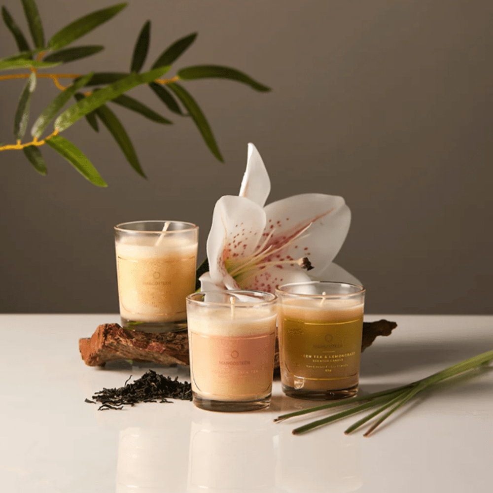 Artisan Scented Candle Trio - (Mangosteen)