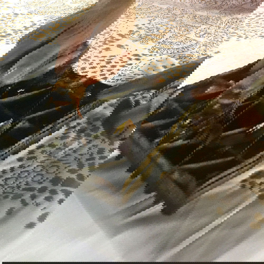 Homeware Gift Set (Reversible) - Crimson Tiger - Batik Boutique