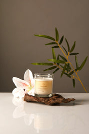 Candle in a glass jar with a white flower and green branch on a reflective surface
